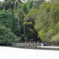 Parque Manuel Antonio (1080).JPG